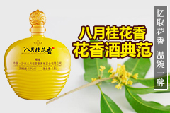 52°金剑南K6 500ml