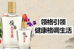 52°金剑南K6 500ml